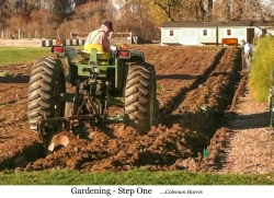 Gardening - Step One FFF