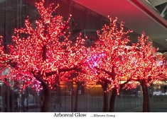 Arboreal Glow FFF S