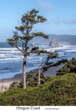 Oregon Coast FFF