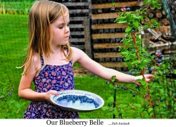 Our Blueberry Belle FFF resized