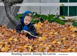 Reading Leaves FFF resized