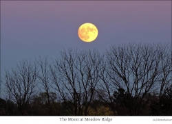 Gail Ottenheimer, The Moon at Meadow Ridge