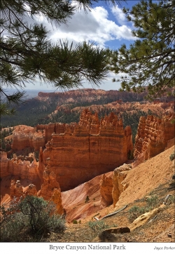 Joyce Parker, Bryce Canyon Park