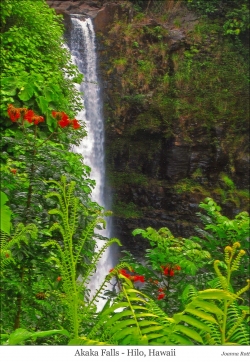 Akaka Falls – Hilo, Hawaii