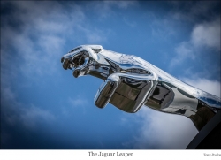 The Jaguar Leaper rs