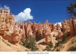 Bryce-National-Park web