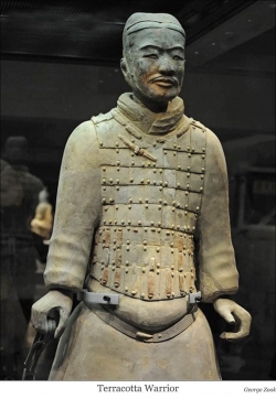 Terracotta-Warrior web