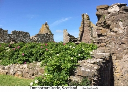 Dunnottar Castle, Scotland FFF